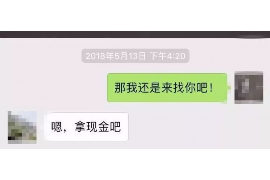 河东为什么选择专业追讨公司来处理您的债务纠纷？